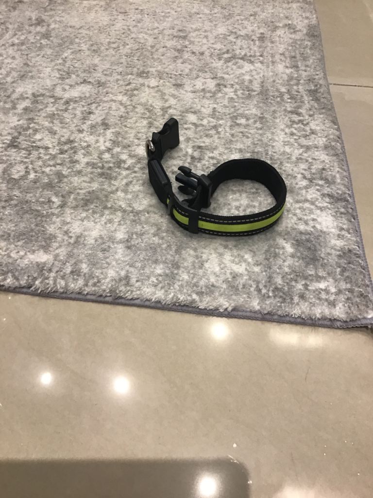Medium size dog light up collar 