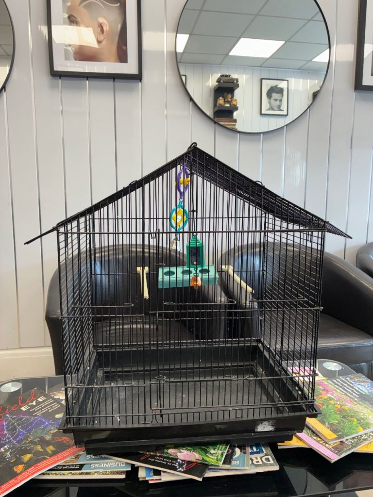 Bird cage 