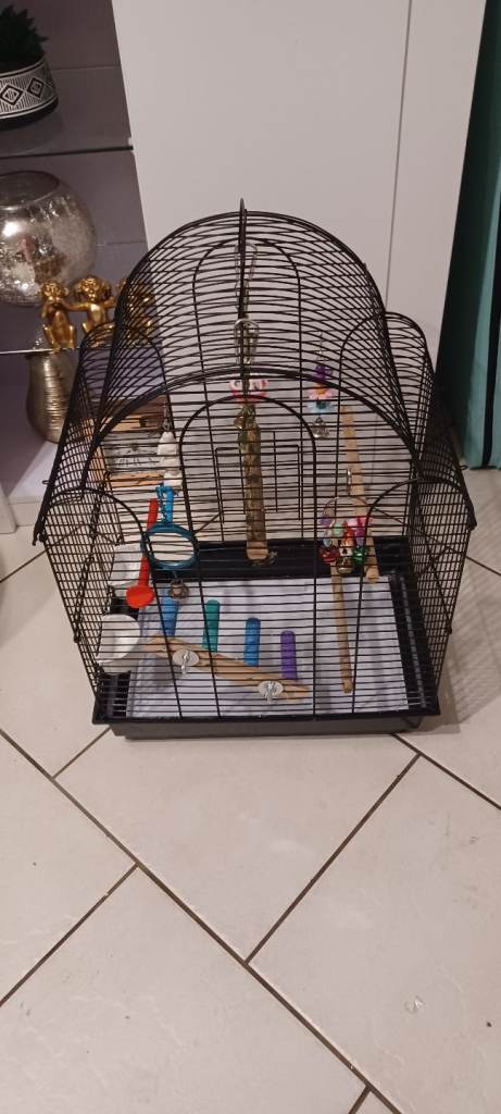 Bird cage 