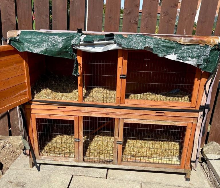 FREE Rabbit Hutch