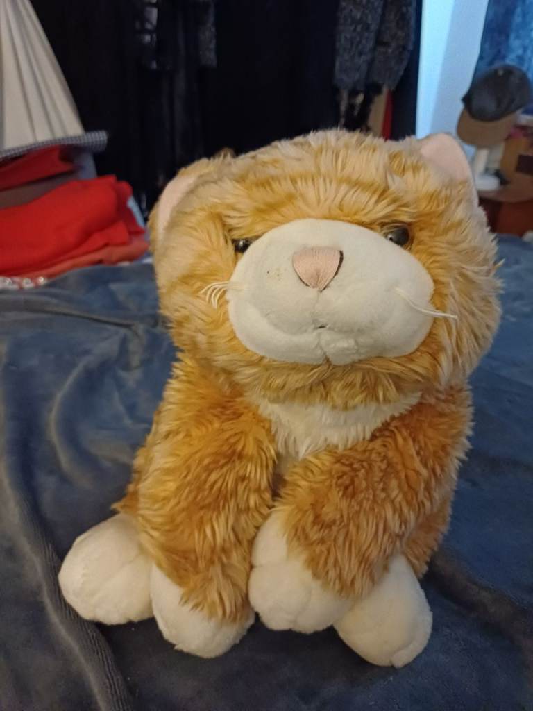 Cat toy