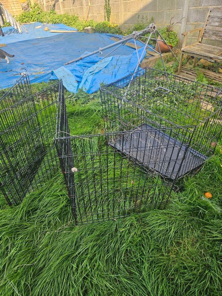 Large dog cage and pet run 