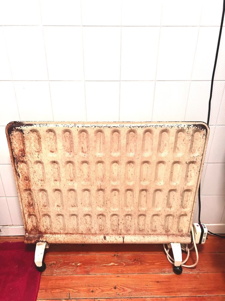 Dimplex oil filled Radiator SE1