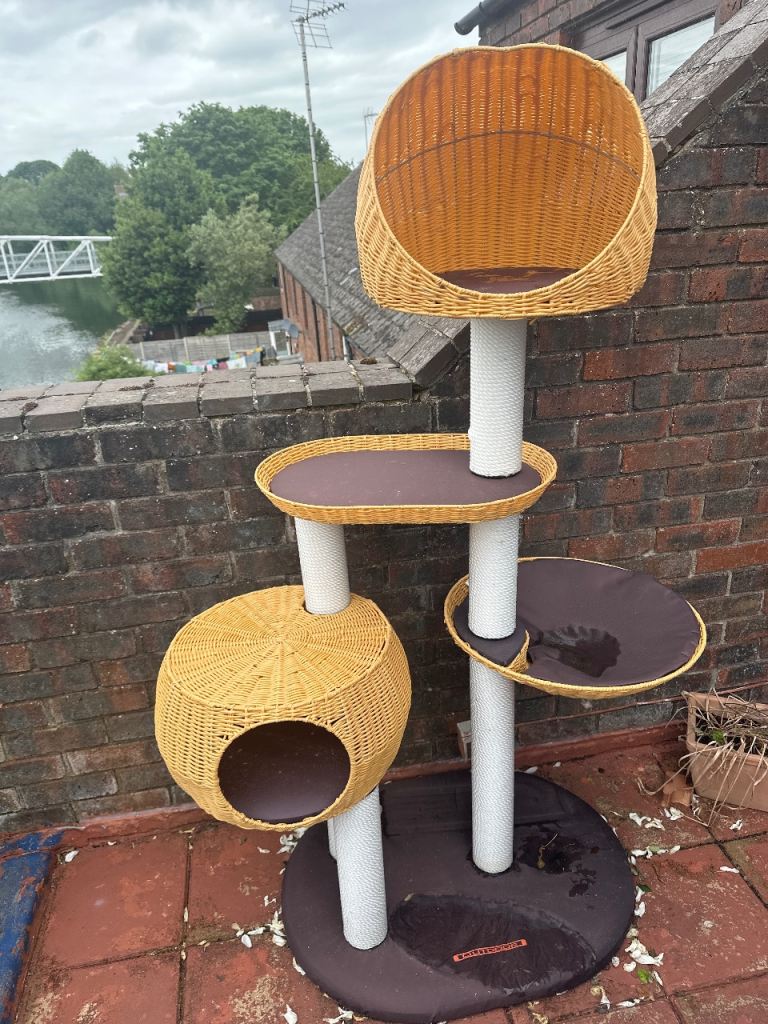 Large outdoor cat tree