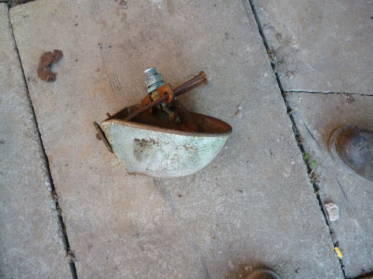 Vintage cow pig water trough Garden planter