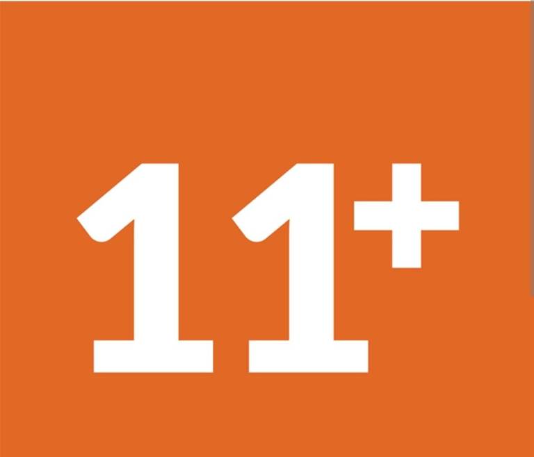 11 PLUS Summer holiday Crash Course, 11 Plus tuition