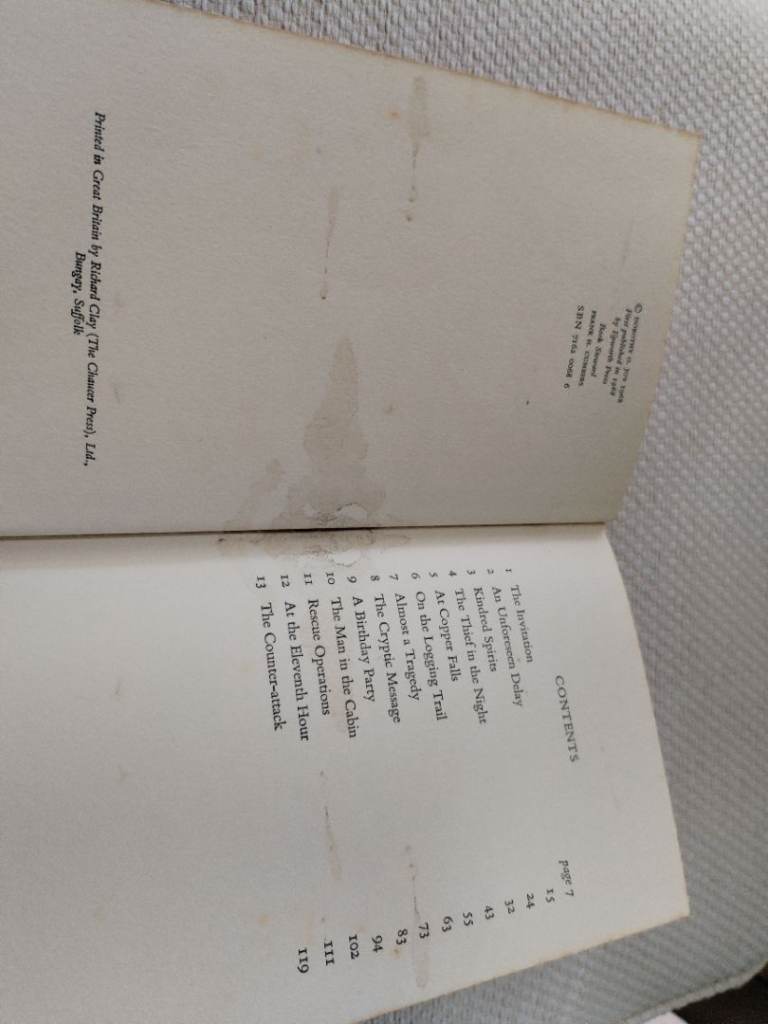 Vintage book. Fire over the forest by Dorothy o. Joy.
