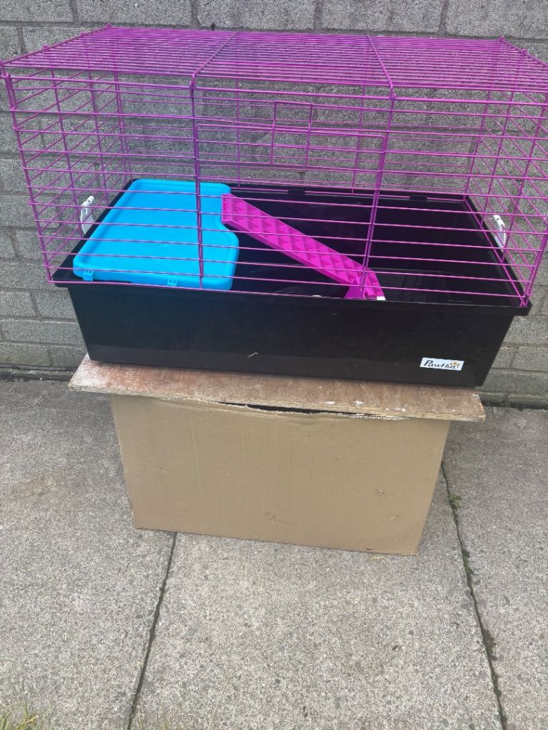 Guinea pig cages 