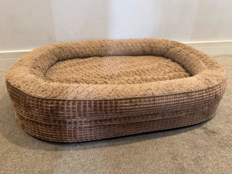 Dog bed FREE