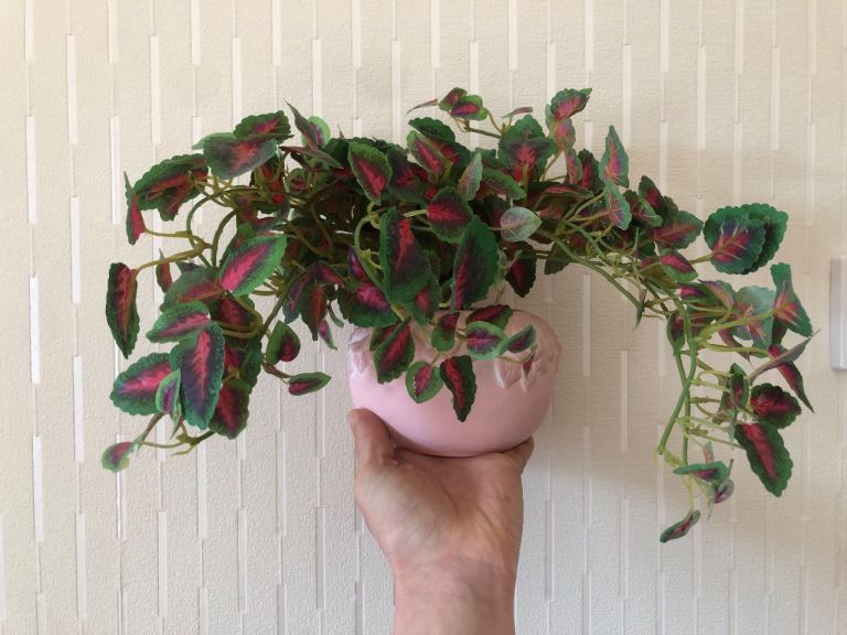 Faux plant, greenery, foliage with pot holder