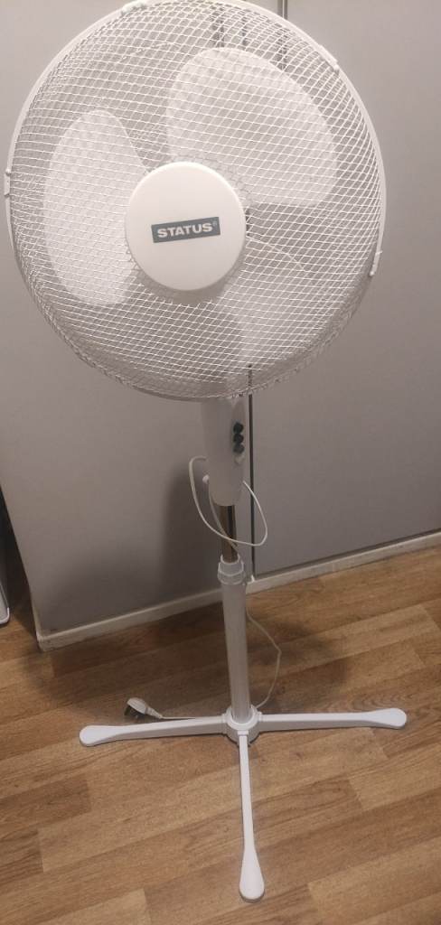 Fan