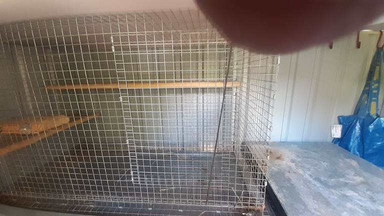 Chinchilla/ degu wire cage with tray 