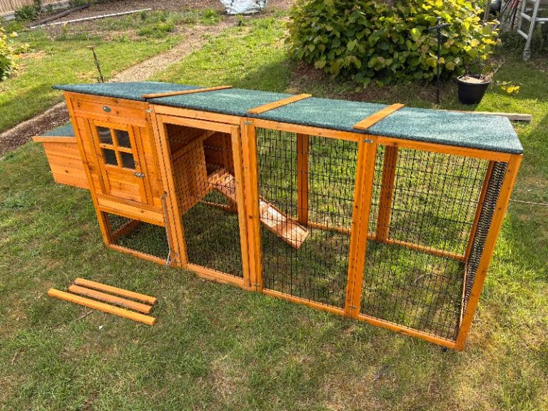 Chicken coop and run