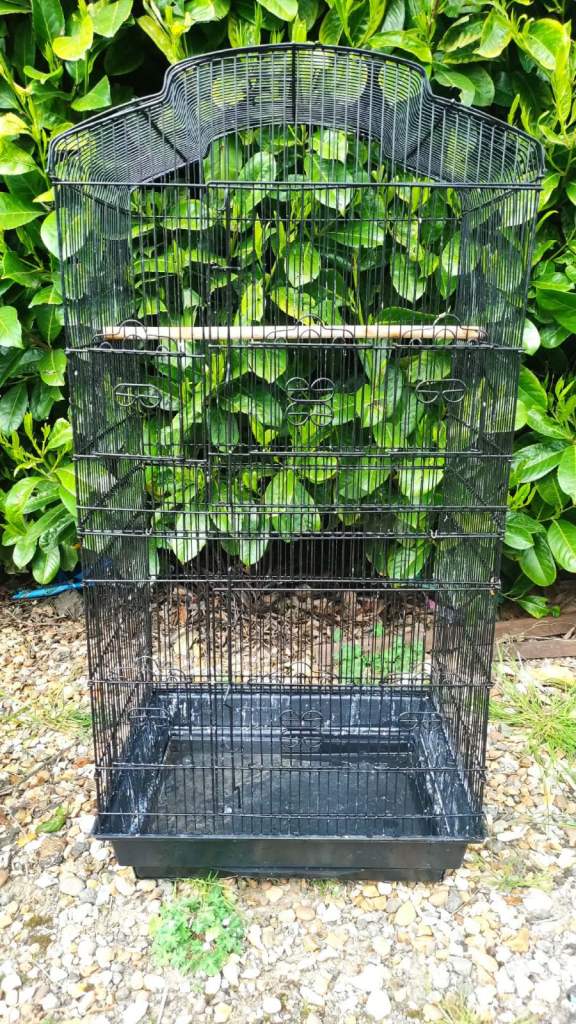 Budgie bird cage