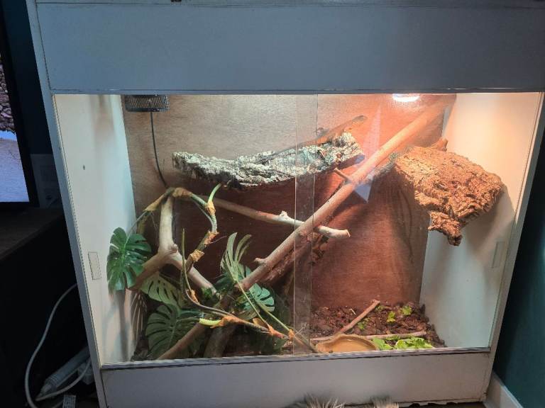 Homemade vivarium