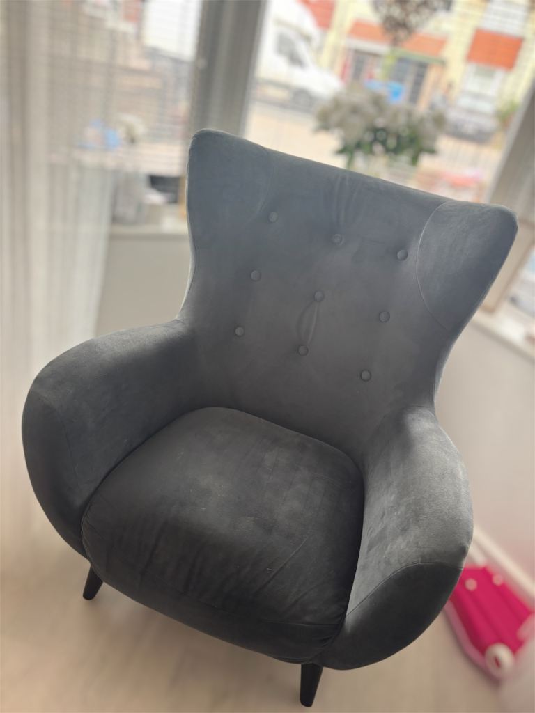 BARGAIN! Delon velvet accent chair