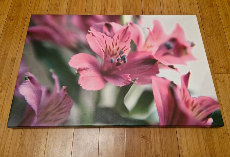 Flowers Canvas Wall Art
