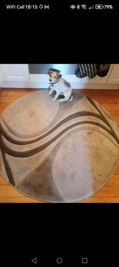 Dunhelm round rug 120cm