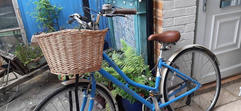 Pendleton bike 