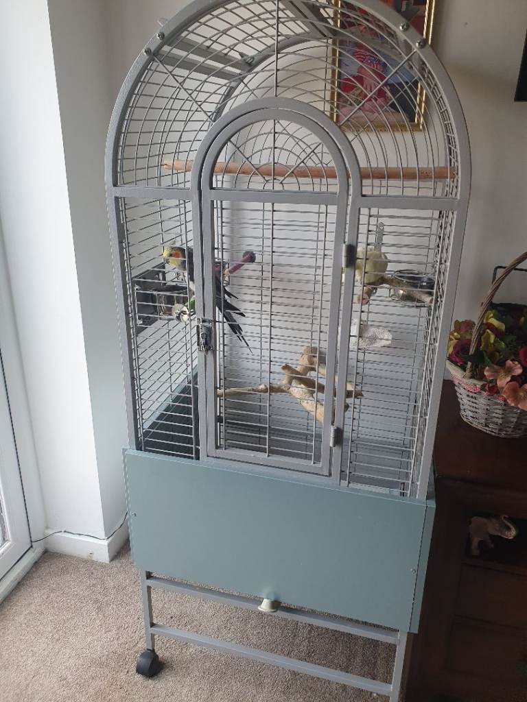 Parrot / cockatiel cage 