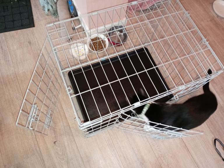 Small dog crate