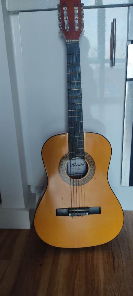 John Hornby Skewes & Co. Herald HL34 guitar.