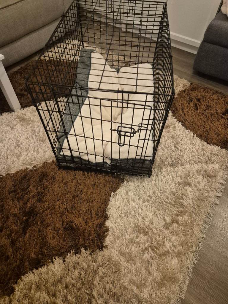 Dog crate with cover