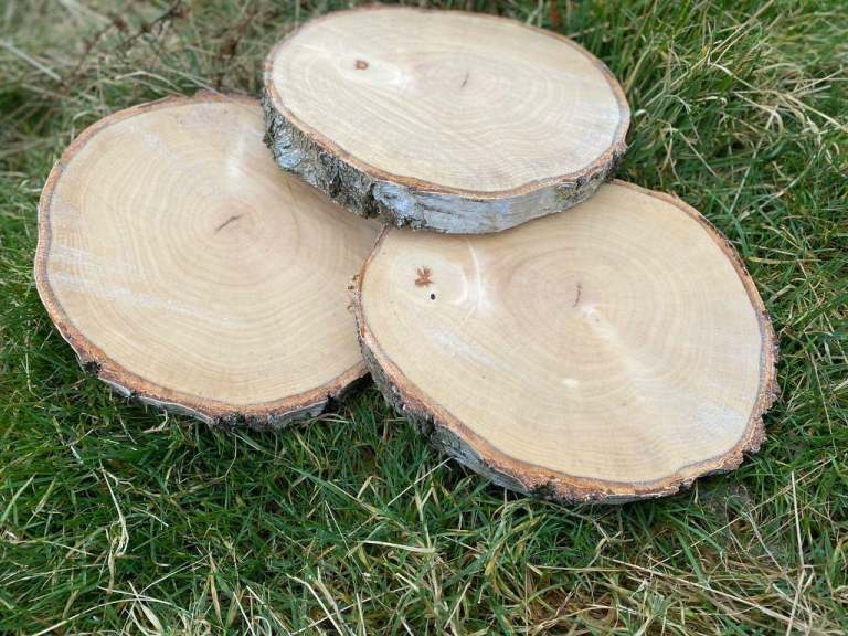 Log slices rustic cake stand natural centre pieces wedding decorations 