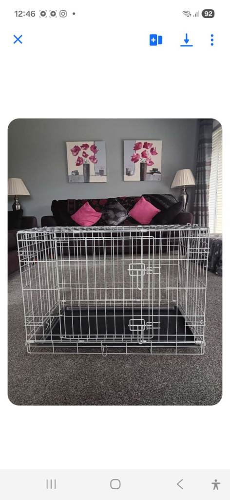 Dog Crate