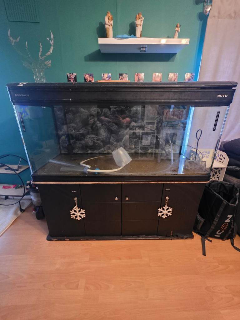 Boyu fish  tank 