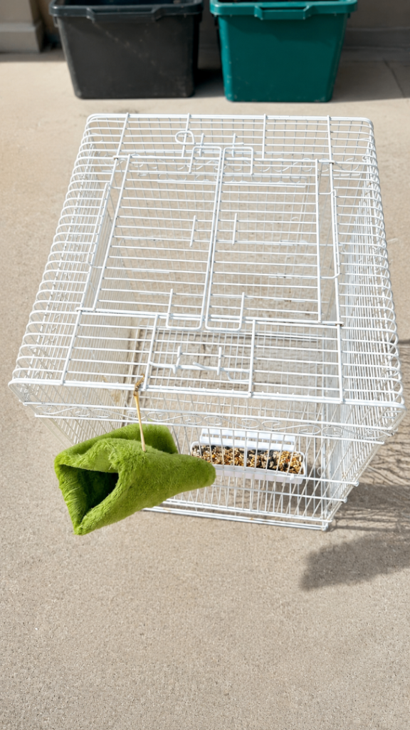Birds cage