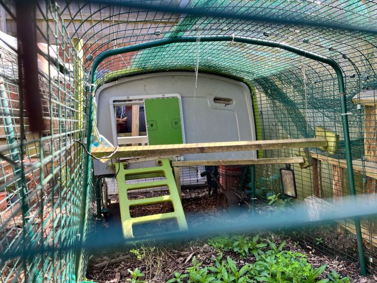 Omlet Eglu Cube mk1 with 4/5m run and lots of accessories 