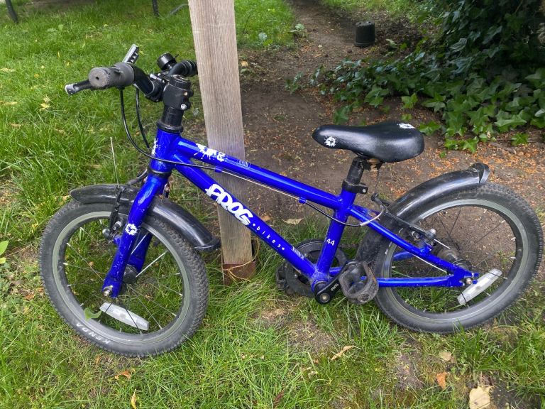 Blue Frog 44 Bike