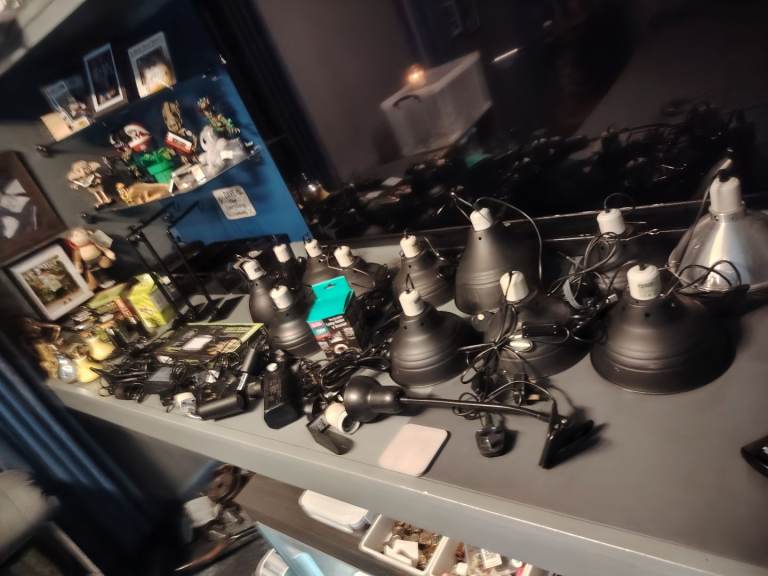 Loads of reptile Equipment 
