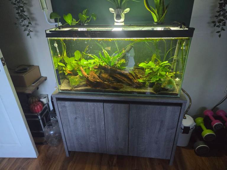 130ltr Aquarium