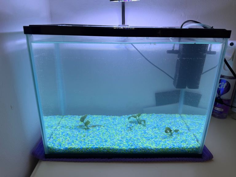 Aquarium fish tank 19 l