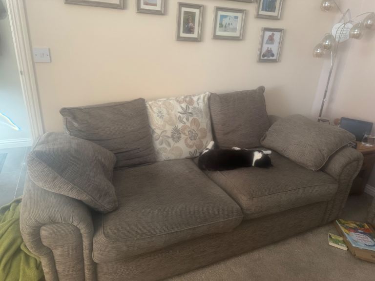 2 sofas sell together or separate. Smaller one is sofa bed 