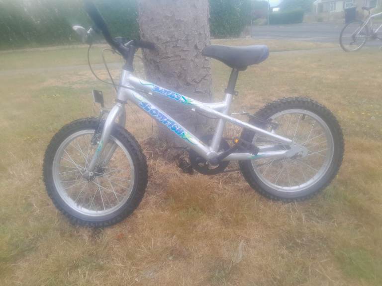 Boys age 5 + 6 Dawes Blowfish Bike .