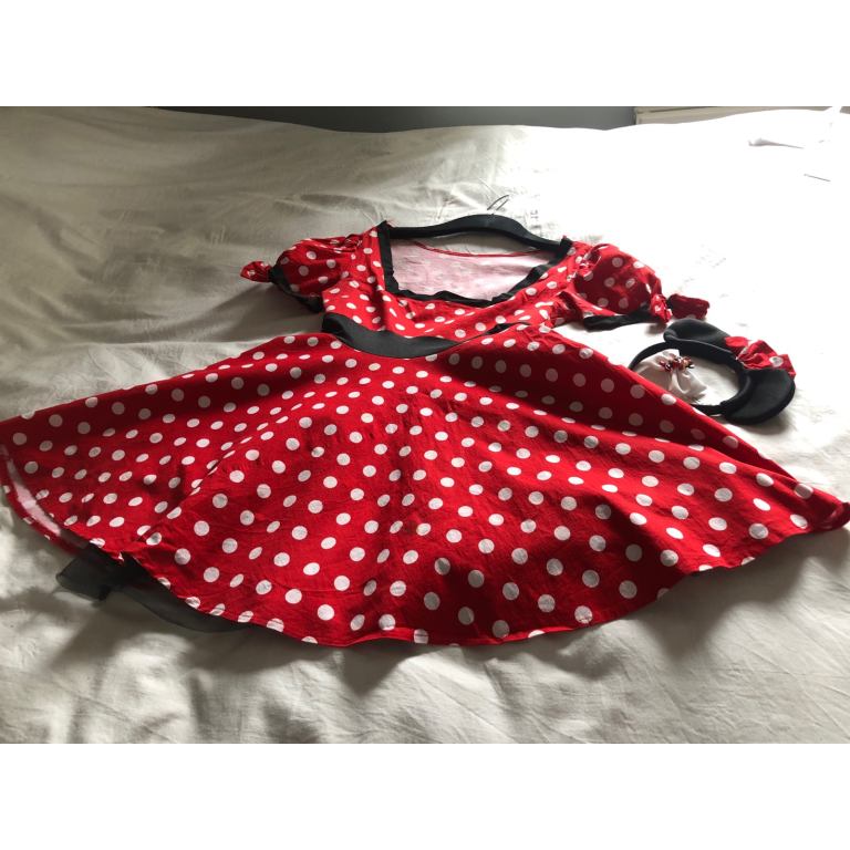 Minnie Mouse costume 