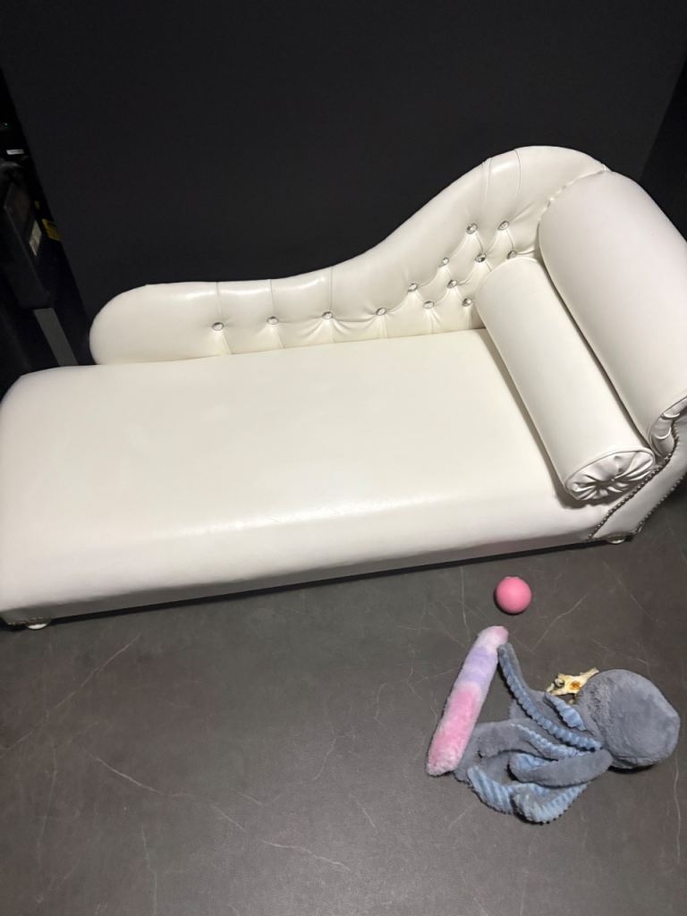 Absolutely gorgeous Diamente dog sofa bed