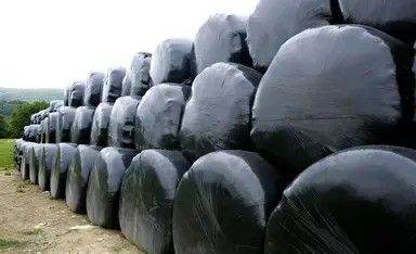 SILAGE BALES FOR SALE