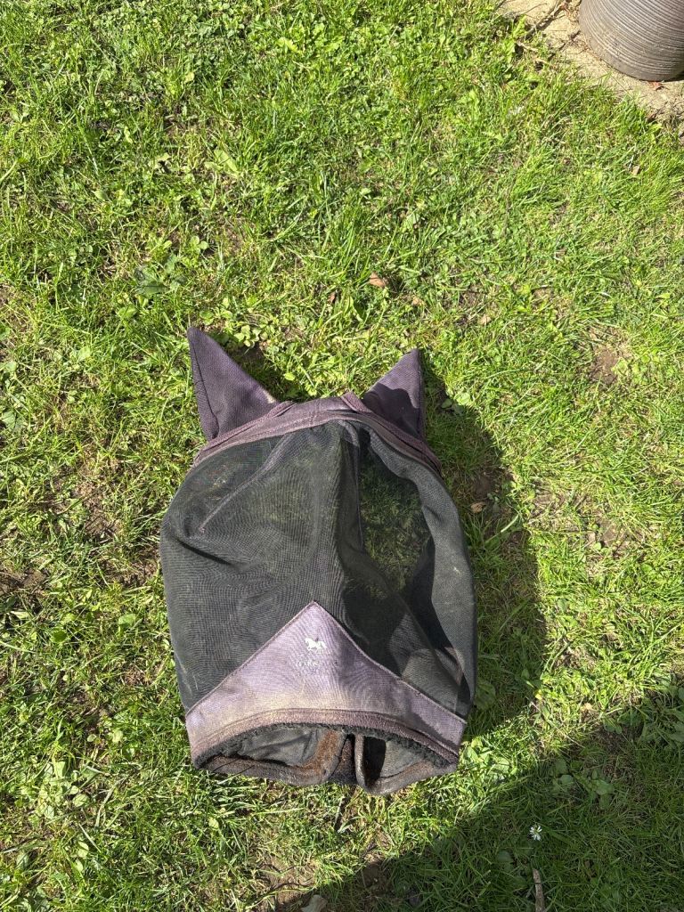 Horse fly mask