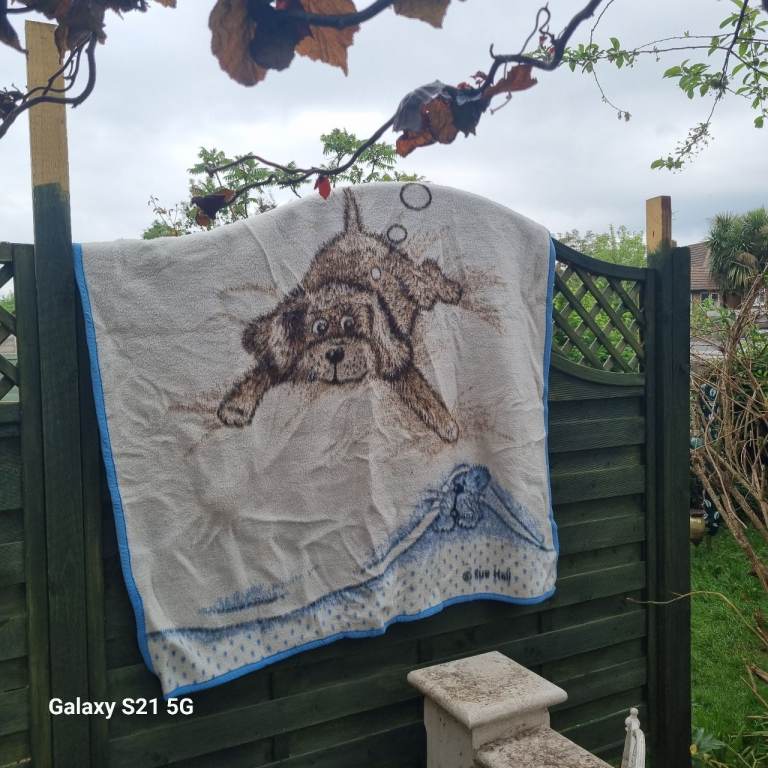vintage biederlack blanket for kids 