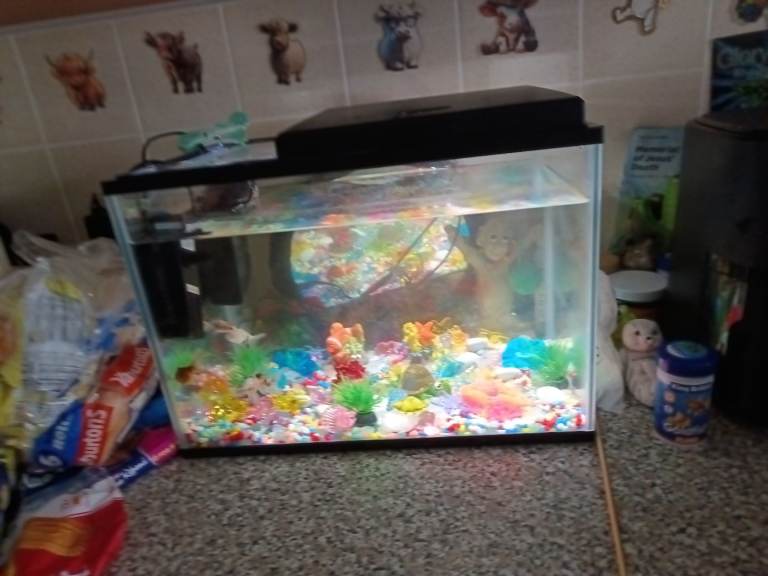 Fish and tank