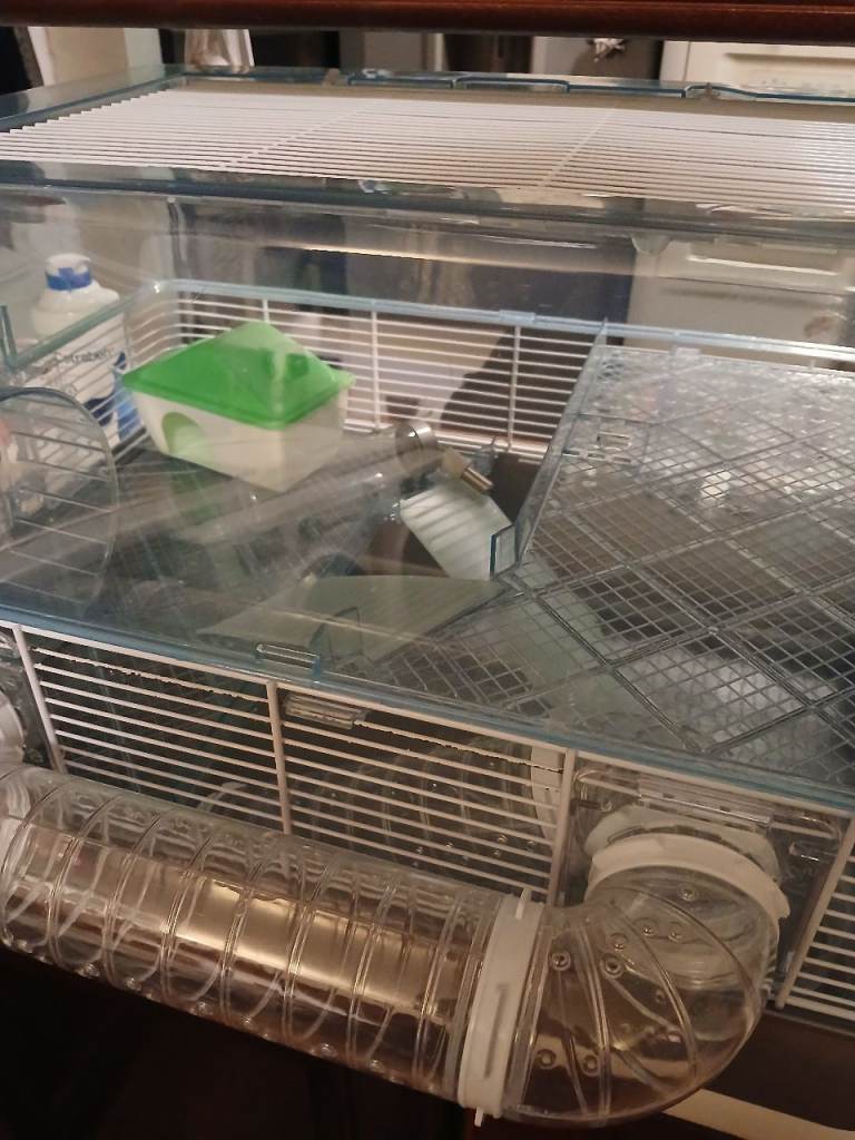 Hamster cage