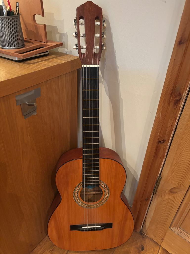 Acoustic Guitar