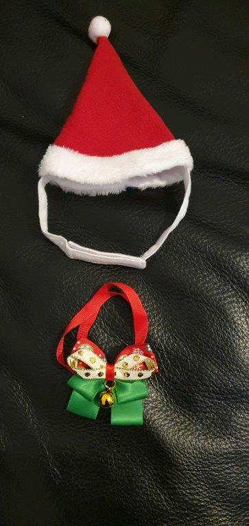 Pet Christmas Hat&BowTie (New, Not Used)