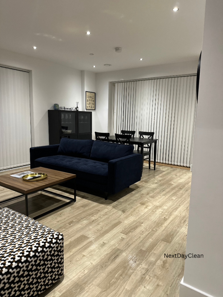 Professional Cleaning Services in Croydon and London