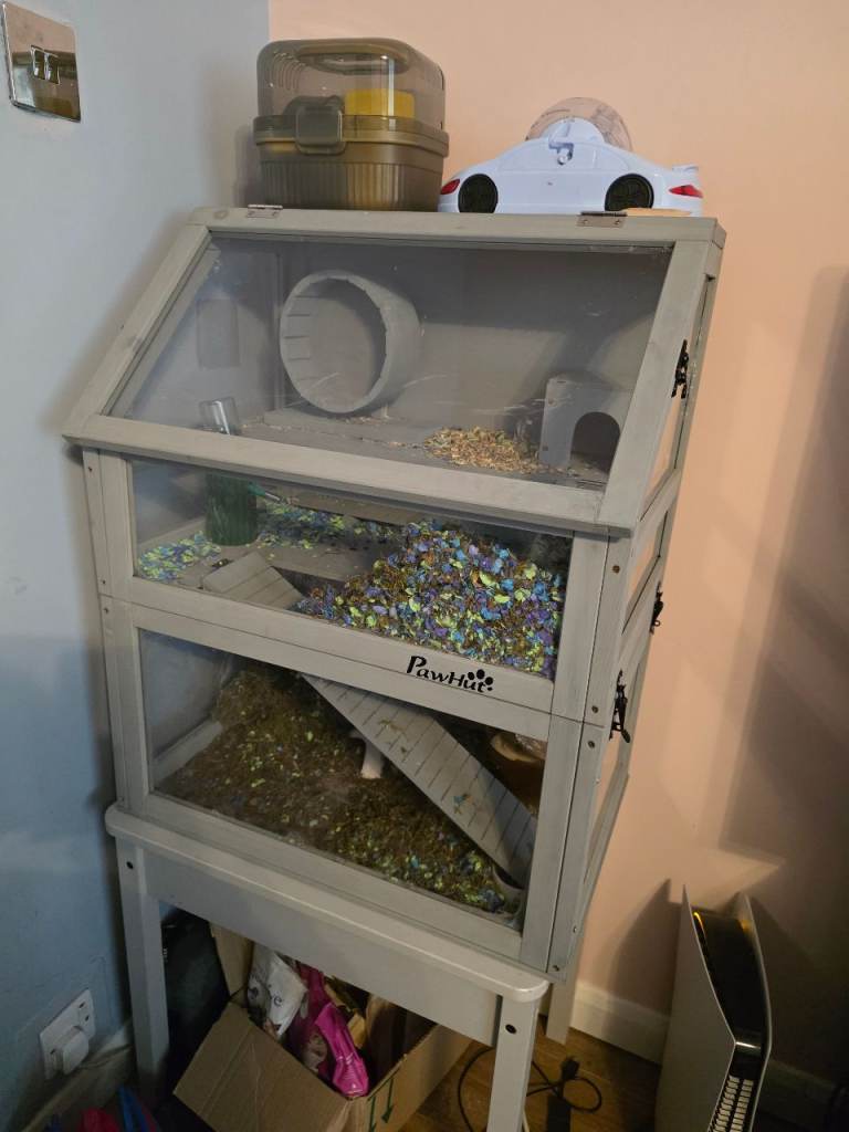 Hamster cage plus young syrian hamster less than 6 months old