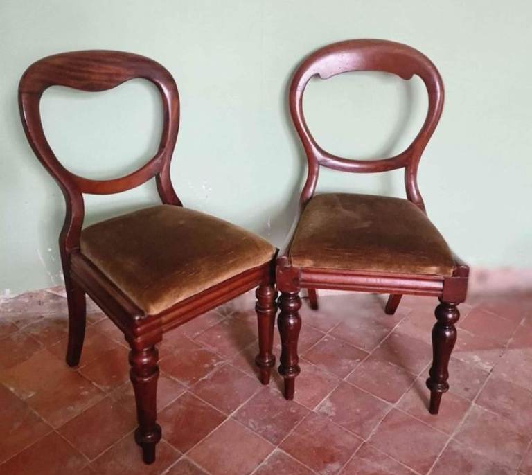 Victorian Mahogany Balloon back chairs 